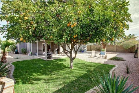 4037 E Topeka Dr, Phoenix, AZ 85050 photo 22