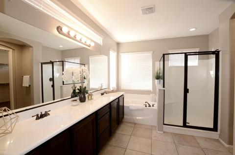 7257 E Nathan St, Mesa, AZ 85207 photo 17