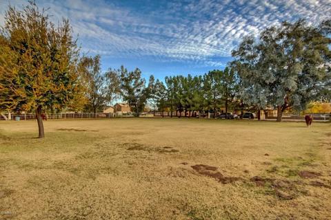 15330 E Orchid Ln, Gilbert, AZ 85296 photo 15