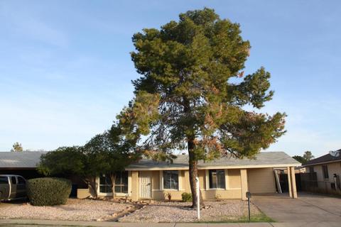 646 E Garnet Ave, Mesa, AZ 85204