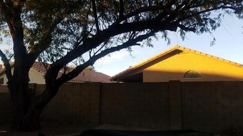 4322 E Chuckwalla Cyn, Phoenix, AZ 85044 photo 19