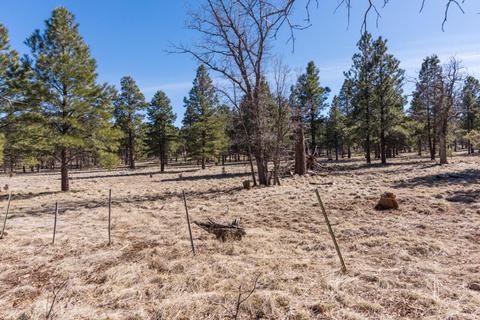 5975 E Abbey Rd, Flagstaff, AZ 86004 photo 45