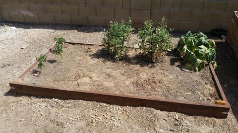 2360 N Robin Ln, Mesa, AZ 85213 photo 28