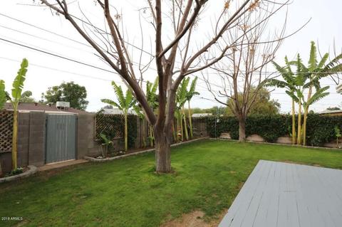 305 E Orchid Ln, Phoenix, AZ 85020 photo 19