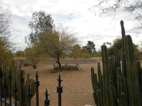 2217 E Linda Ct, Phoenix, AZ 85022 photo 15