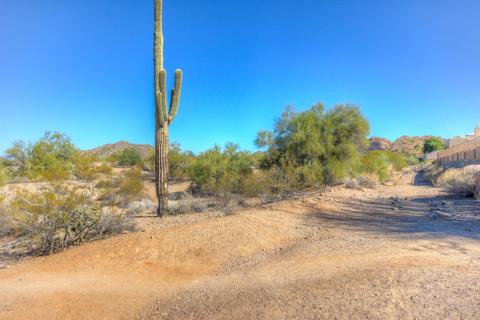 6327 E Star Valley Cir, Mesa, AZ 85215 photo 65