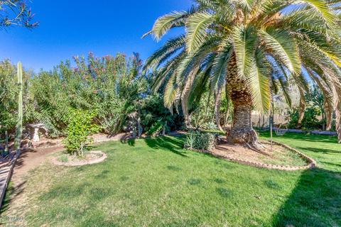 4142 E Zia St, Phoenix, AZ 85044 photo 31
