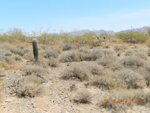 1036 E Red Range Way #'-', Phoenix, AZ 85085 photo 11