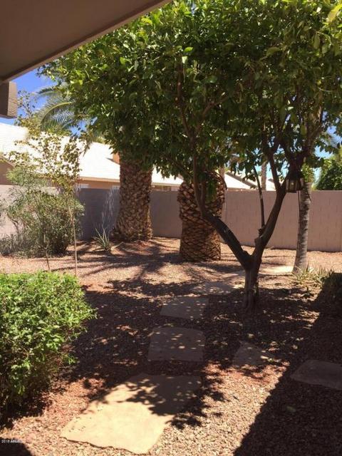 7106 E Monte Ave, Mesa, AZ 85209 photo 24