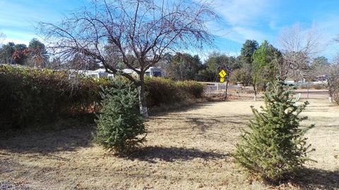 606 E Cherry St, Payson, AZ 85541 photo 13