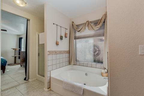 4339 E Morrow Dr, Phoenix, AZ 85050 photo 17