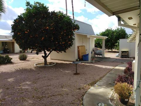 6065 E Duncan St, Mesa, AZ 85205 photo 18