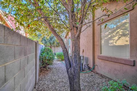 3924 E Frances Ln, Gilbert, AZ 85295 photo 36