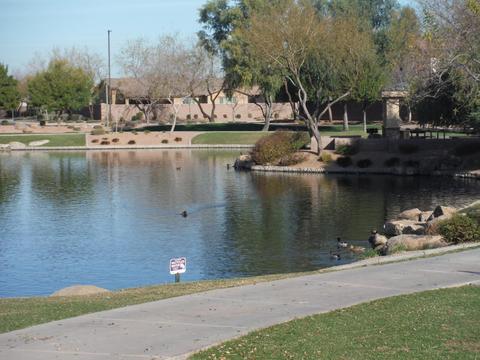 5515 S Cardinal St, Gilbert, AZ 85298 photo 53
