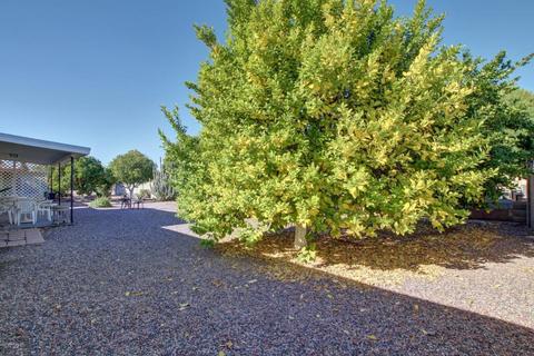 6528 E Albany St, Mesa, AZ 85205 photo 24