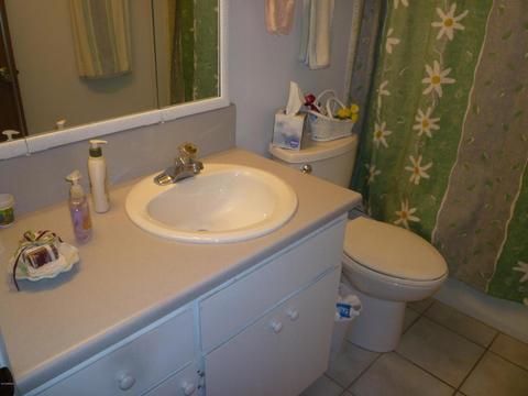 4723 E Dragoon Ave, Mesa, AZ 85206 photo 24