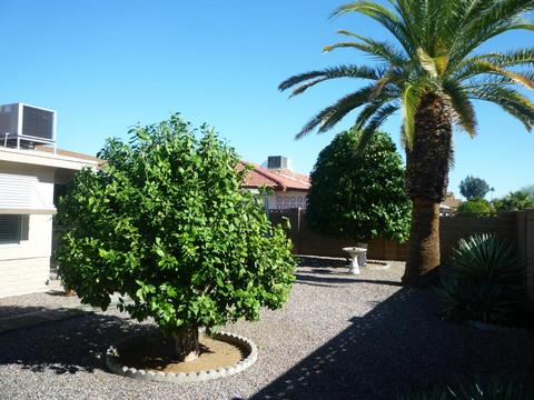 4723 E Dragoon Ave, Mesa, AZ 85206 photo 33