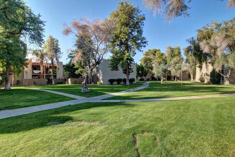 4201 E Camelback Rd #102, Phoenix, AZ 85018 photo 3