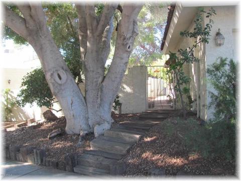 1752 E Belmont Ave, Phoenix, AZ 85020 photo 6