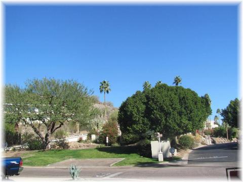 1752 E Belmont Ave, Phoenix, AZ 85020 photo 7