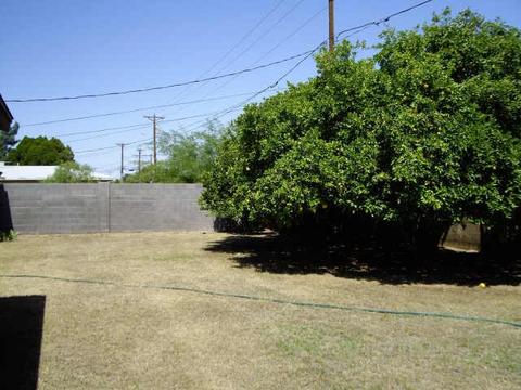 1036 E 9th Ave, Mesa, AZ 85204 photo 5