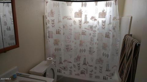 1101 E Whitton Ave, Phoenix, AZ 85014 photo 3