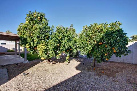 3842 E Dahlia Dr, Phoenix, AZ 85032 photo 26