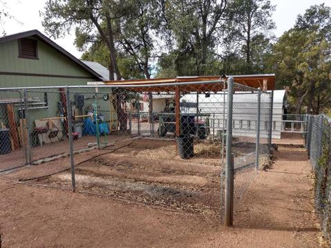 814 E Park Dr, Payson, AZ 85541 photo 5
