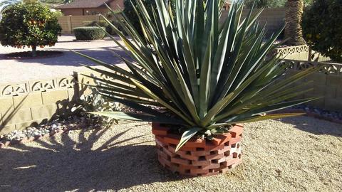 825 S 76th Pl, Mesa, AZ 85208 photo 34