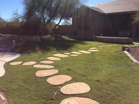 1517 E Maddock Rd, Phoenix, AZ 85086 photo 8