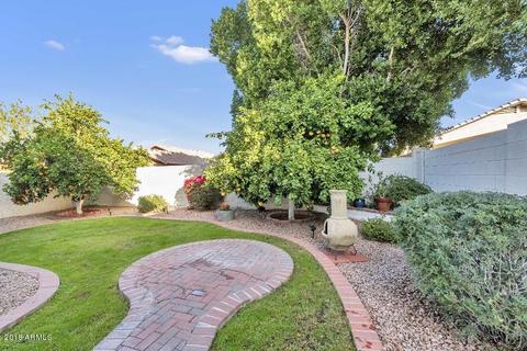6720 E Melrose St, Mesa, AZ 85215 photo 19