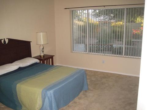 3337 E Lavey Ln, Phoenix, AZ 85032 photo 4