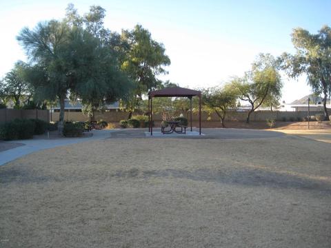 3337 E Lavey Ln, Phoenix, AZ 85032 photo 17