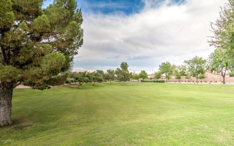 10615 E Flower Ave, Mesa, AZ 85208 photo 36