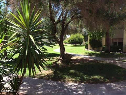 4201 E Camelback Rd #92, Phoenix, AZ 85018 photo 14