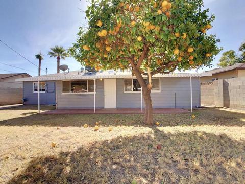 312 E Butler Dr, Phoenix, AZ 85020 photo 14