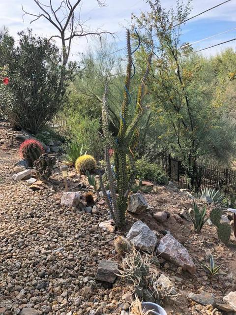 1722 E Turquoise Ave, Phoenix, AZ 85020 photo 30