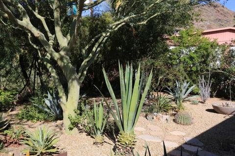 1722 E Turquoise Ave, Phoenix, AZ 85020 photo 35