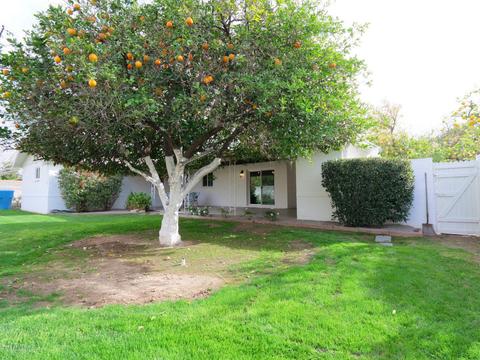 5002 E Cambridge Ave, Phoenix, AZ 85008 photo 27