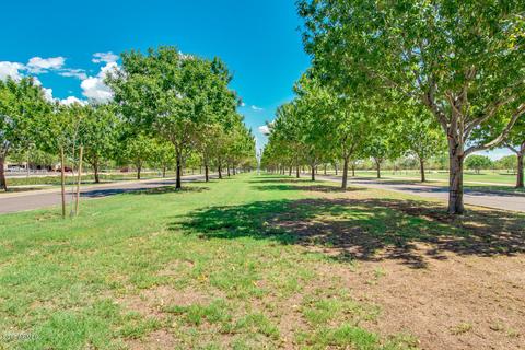 3054 E Comstock Dr, Gilbert, AZ 85296 photo 83