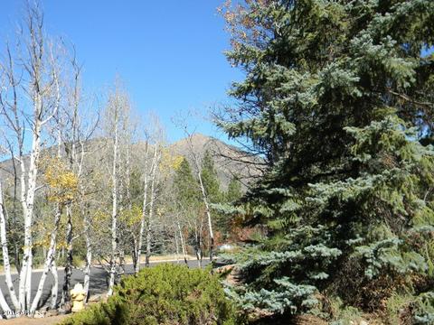 4329 E Burning Tree Loop, Flagstaff, AZ 86004 photo 4