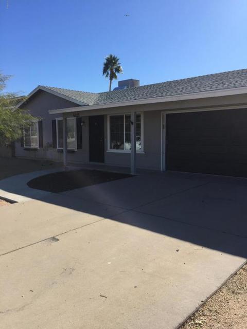 6925 E Jensen St, Mesa, AZ 85207 photo 1