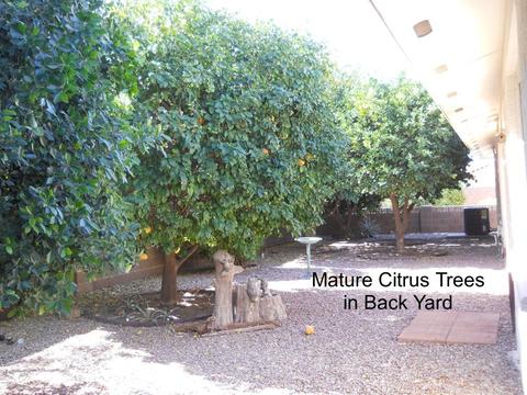 7937 E Meseto Ave, Mesa, AZ 85209 photo 23