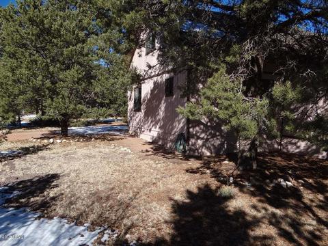 3557 Quail Run Rd, Overgaard, AZ 85933 photo 41