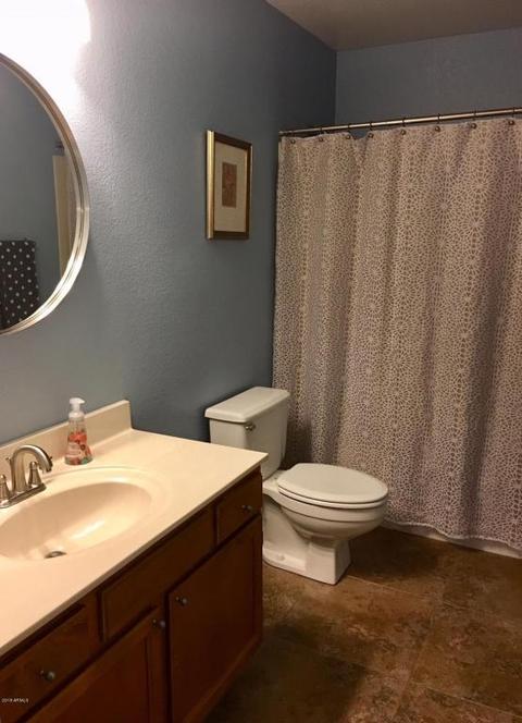 3520 E Sequoia Dr, Phoenix, AZ 85050 photo 14