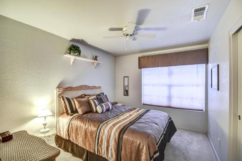 6337 E Palm St, Mesa, AZ 85215 photo 16