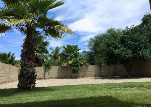 3208 E Sierra St, Phoenix, AZ 85028 photo 19