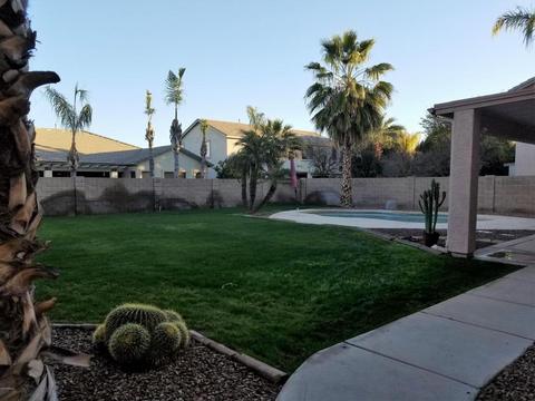 874 Erie Ct, Gilbert, AZ 85295 photo 27