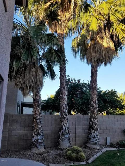 874 Erie Ct, Gilbert, AZ 85295 photo 26