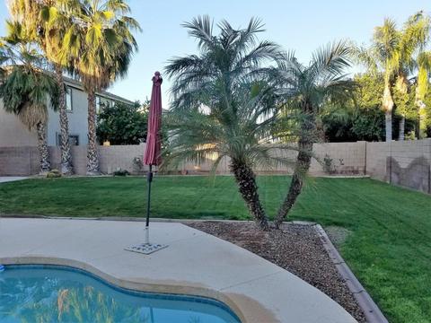 874 Erie Ct, Gilbert, AZ 85295 photo 31